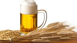 ein Glas Bier, dekoriert mit Getreide