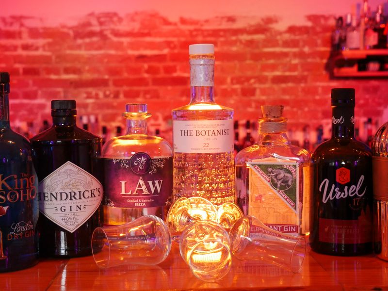 Mehrere Gin-Flaschen stehen aufgereiht auf einer Bar