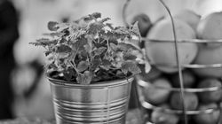 Frische Kräuter und Obst für die Cocktails stehen auf der Bar